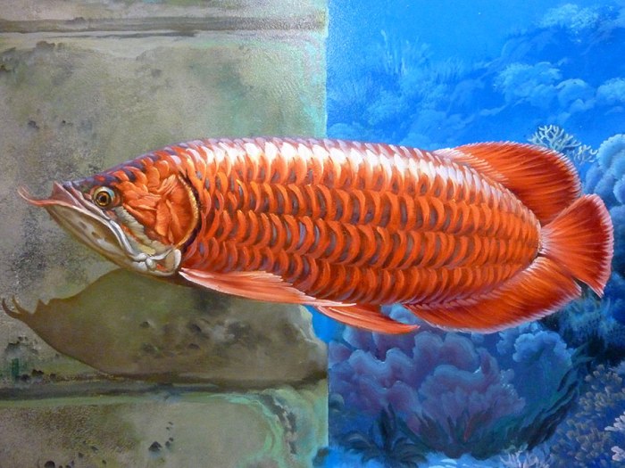 red-fish