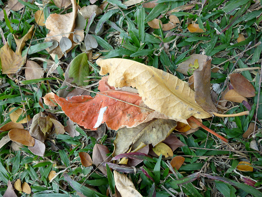 Another look at Huey Tung&nbsp;Tao