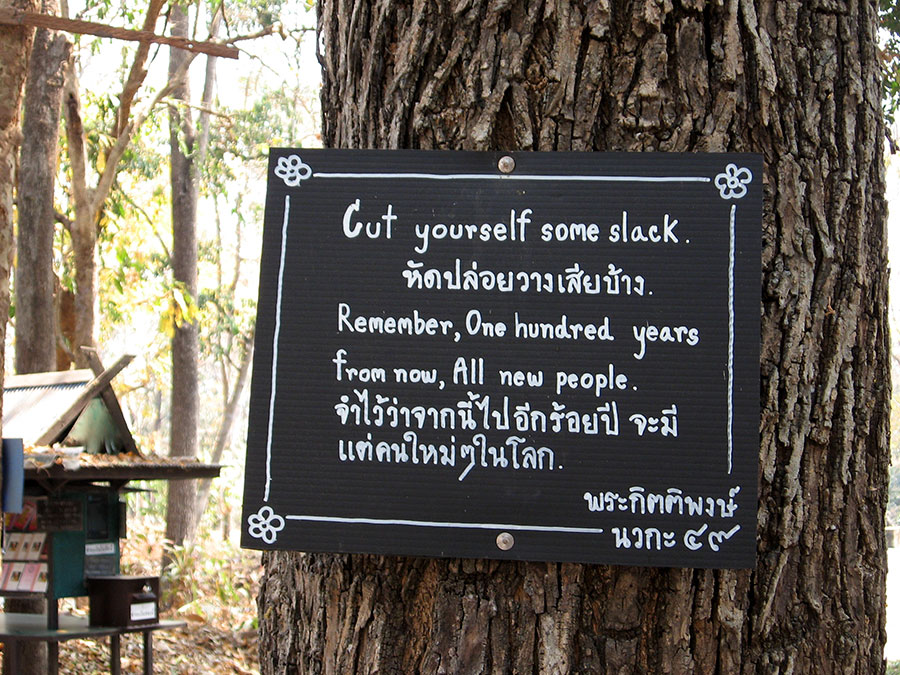 ✈️ Stupid travels,&nbsp;too.