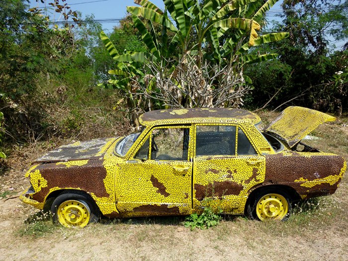 I'm sure there is a story behind this "artistic" car.