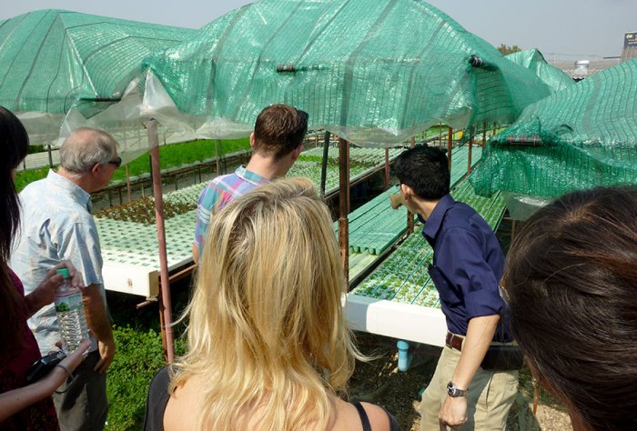 kuhn-lek-and-friends