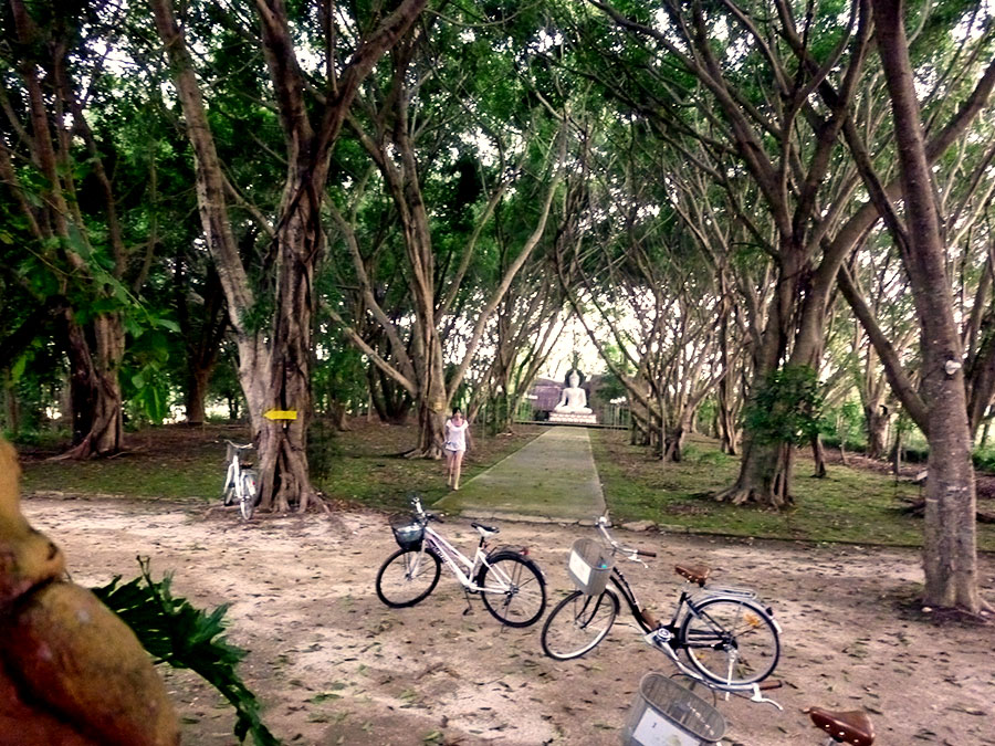 bicycles-bri-and-buddha