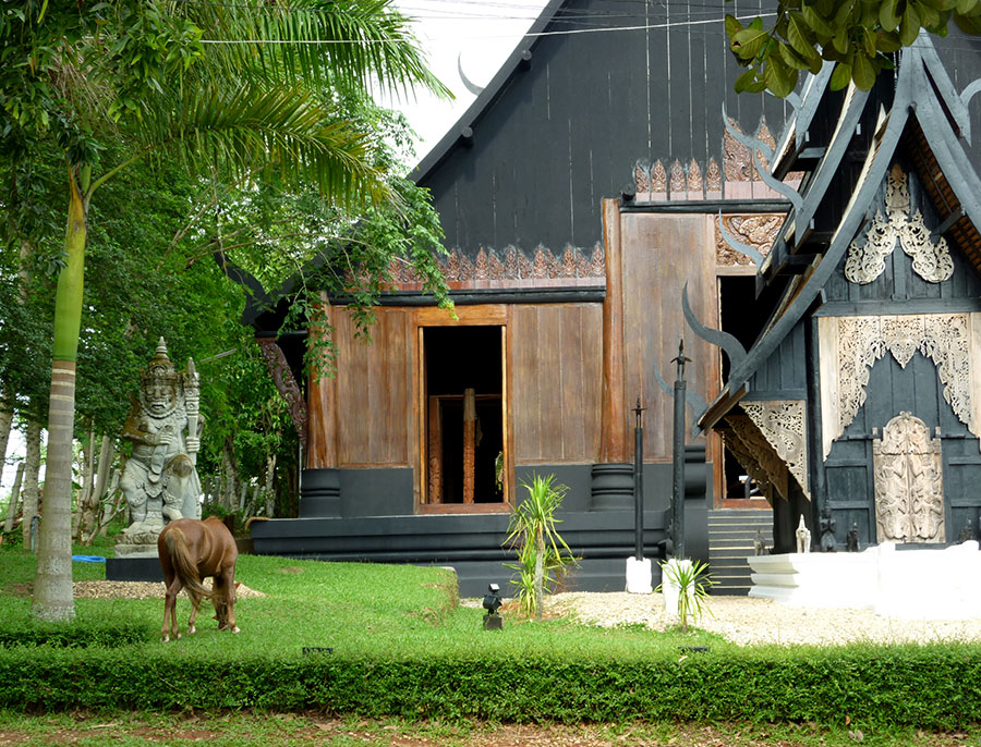 What is home? (a nomad&nbsp;reflects)