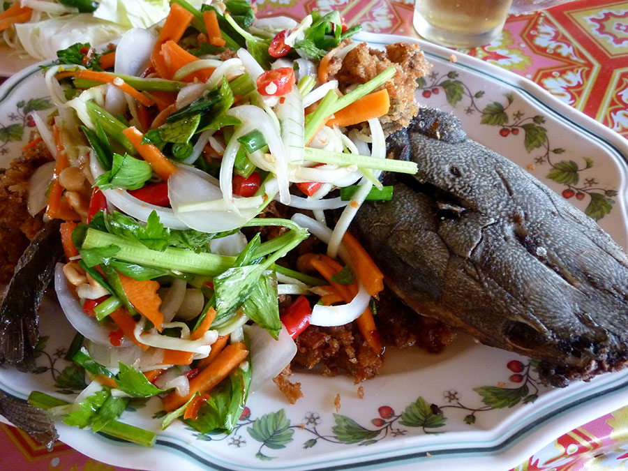 This is supposed to be a catfish...