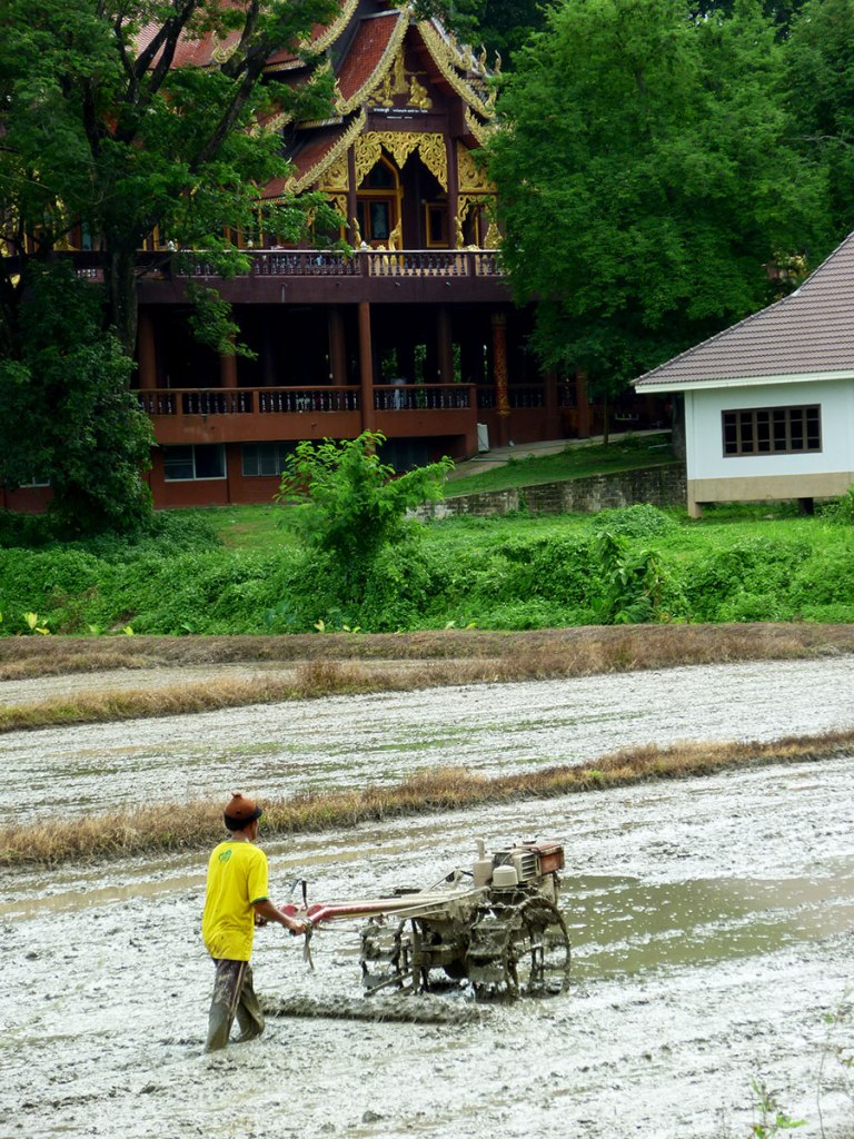 plowing-the-fields-2