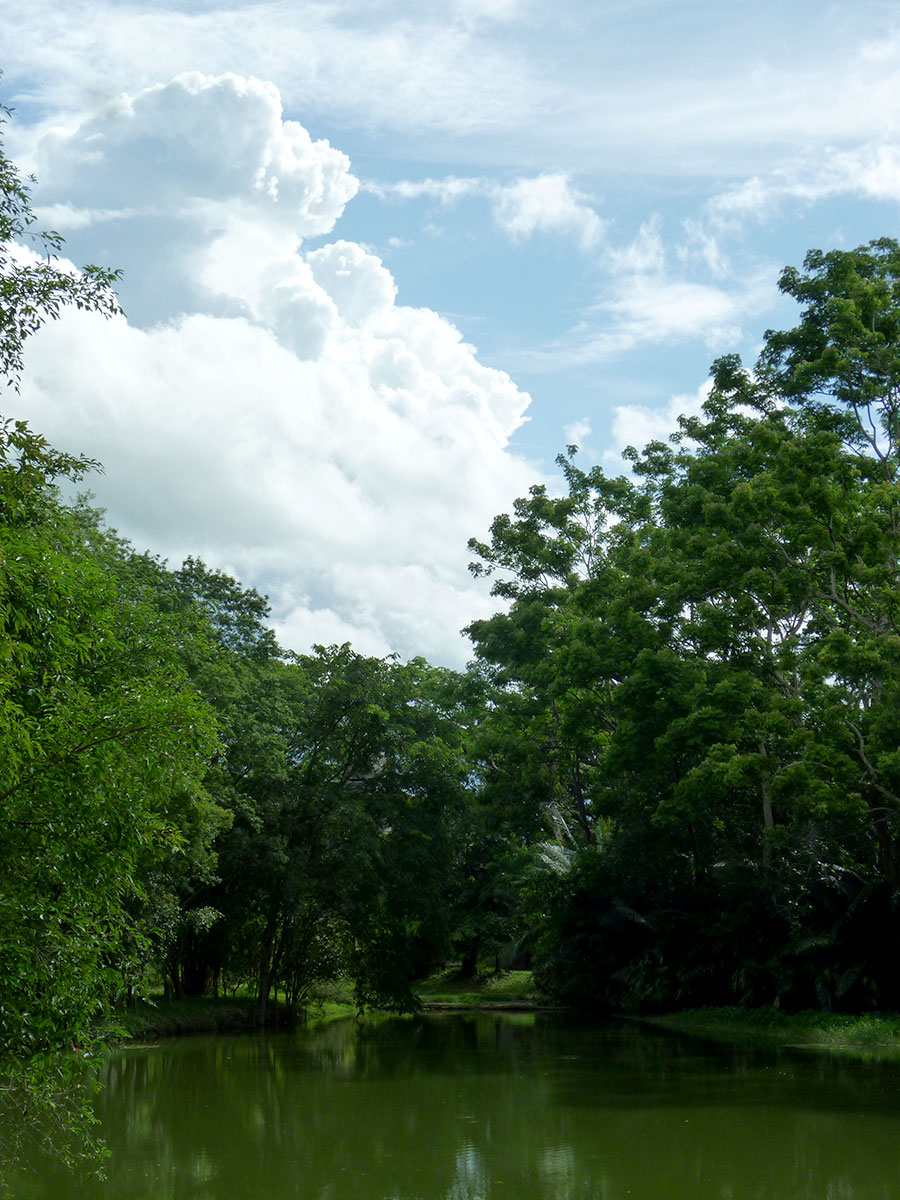 rai mae fah luang art cultural park