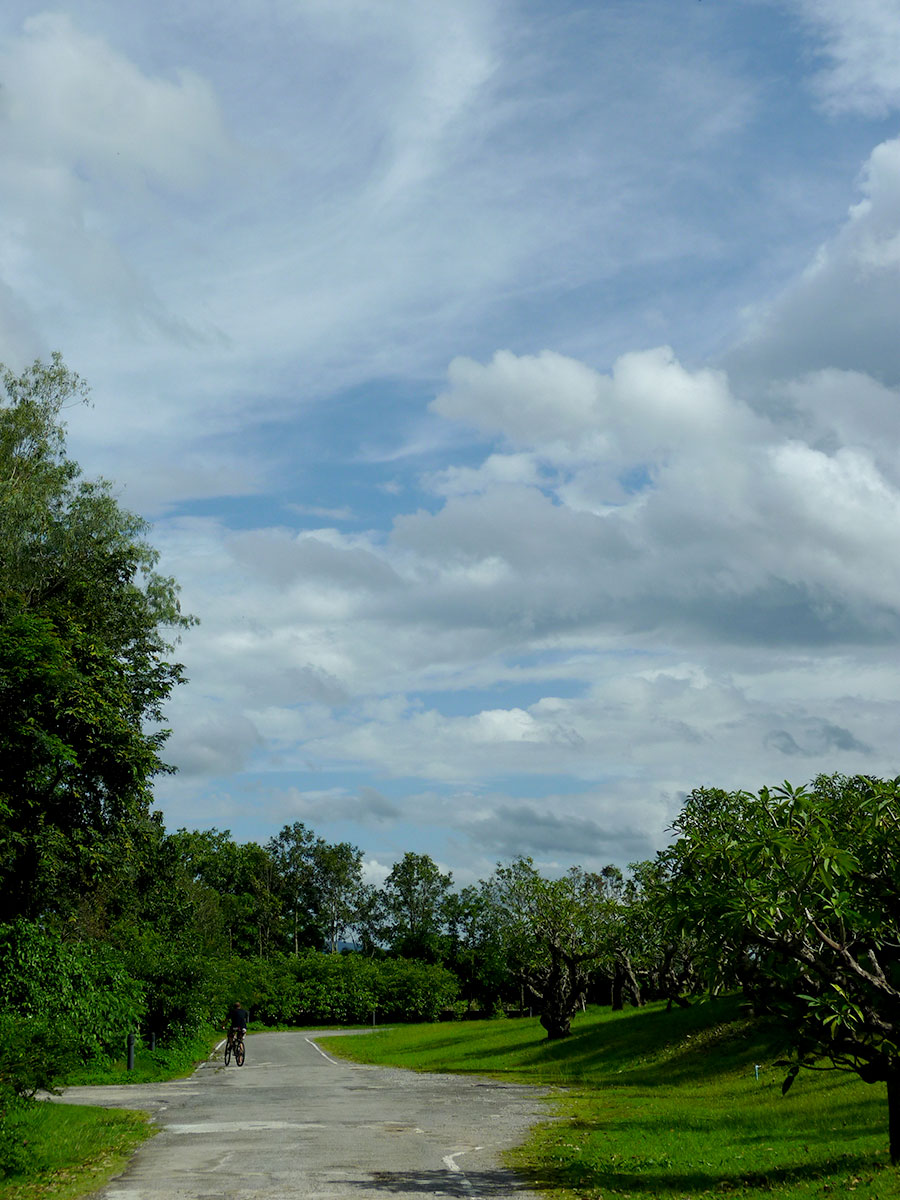 rai mae fah luang art cultural park