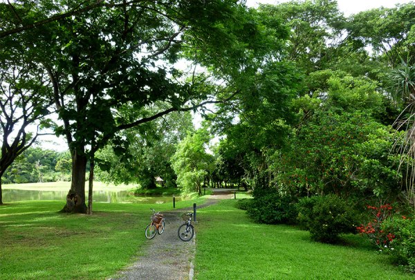 bicycles at rai mae fah luang
