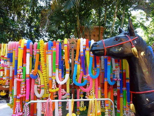 horse-and-leis