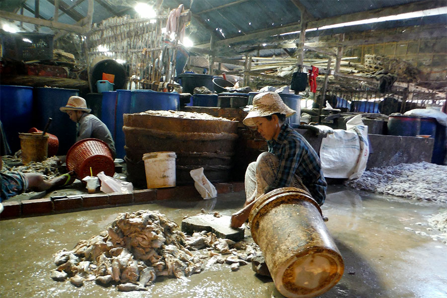 Battambang Bike tour, 2015