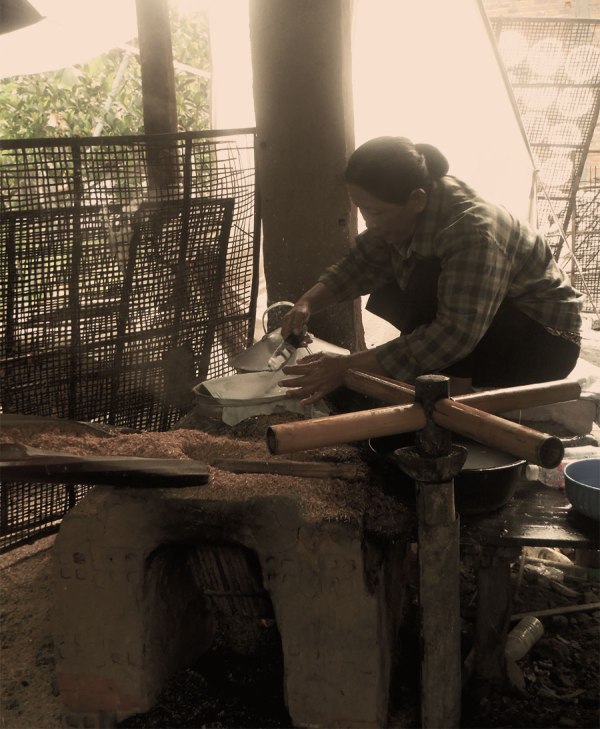 Battambang Bike tour, 2015