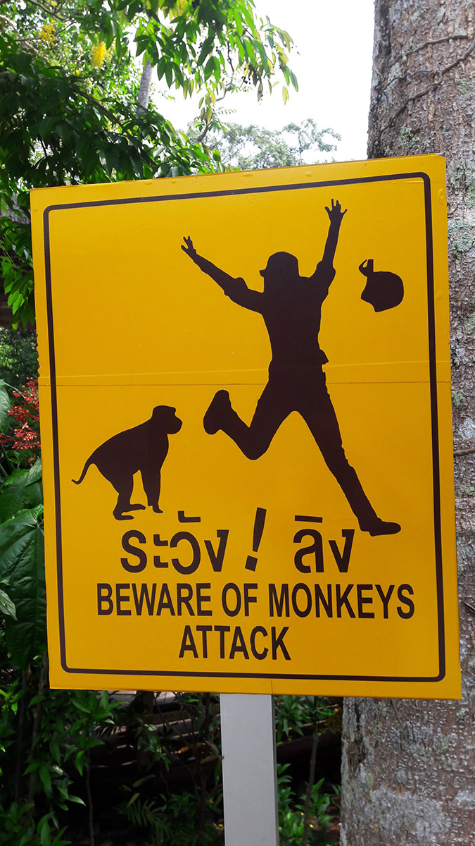 Let’s go to Khao Yai National&nbsp;Park