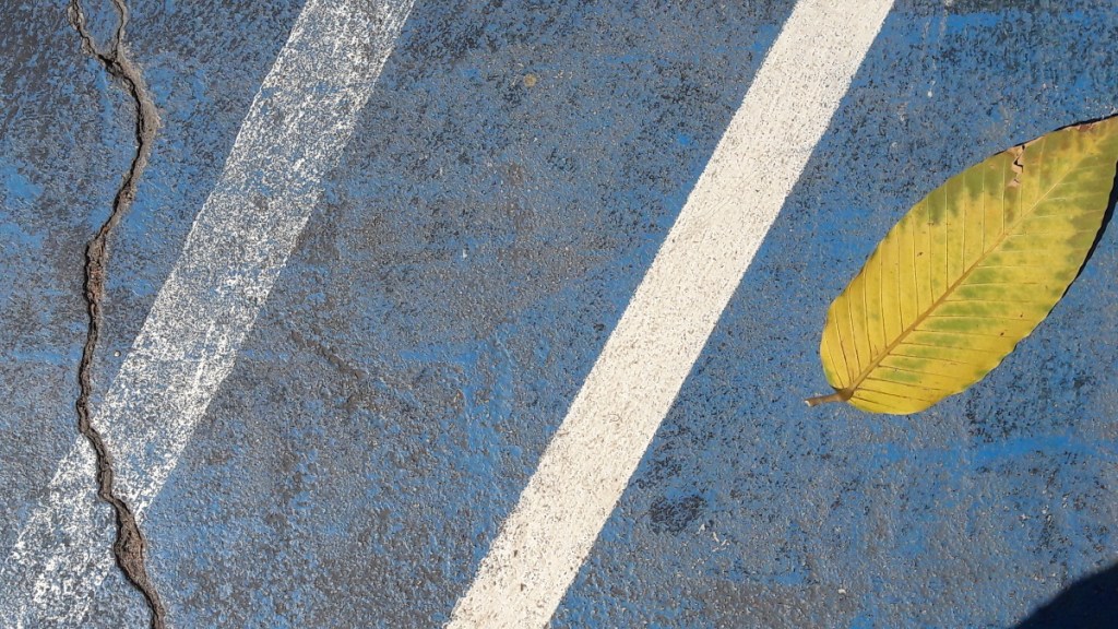 crack and leaf basketball court