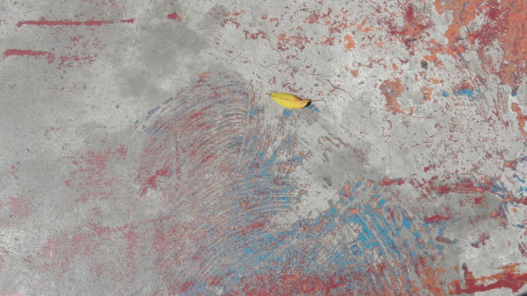 yellow leaf on basketball court