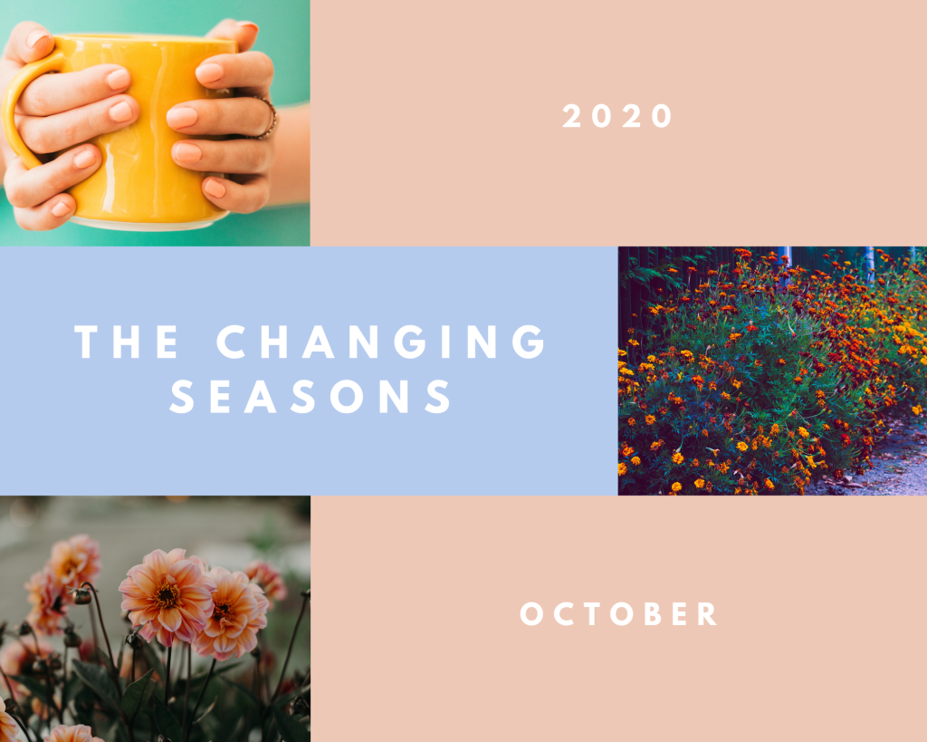 The Changing Seasons – Oct&nbsp;2020