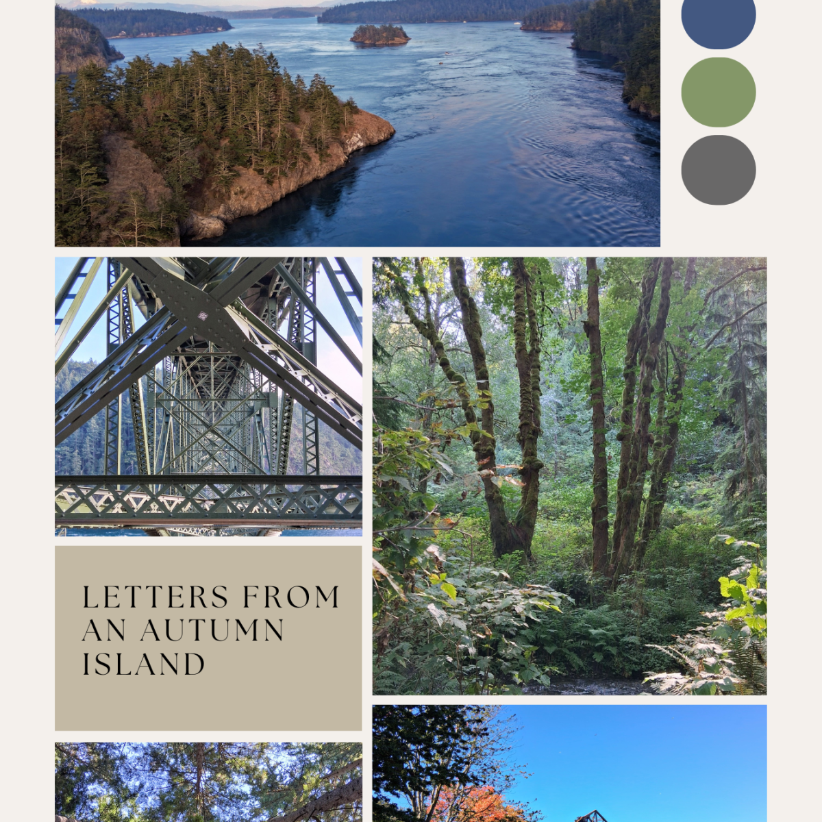 Letters from an autumn island&nbsp;🍂